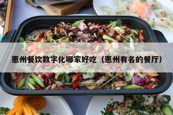 惠州餐饮数字化哪家好吃（惠州有名的餐厅）